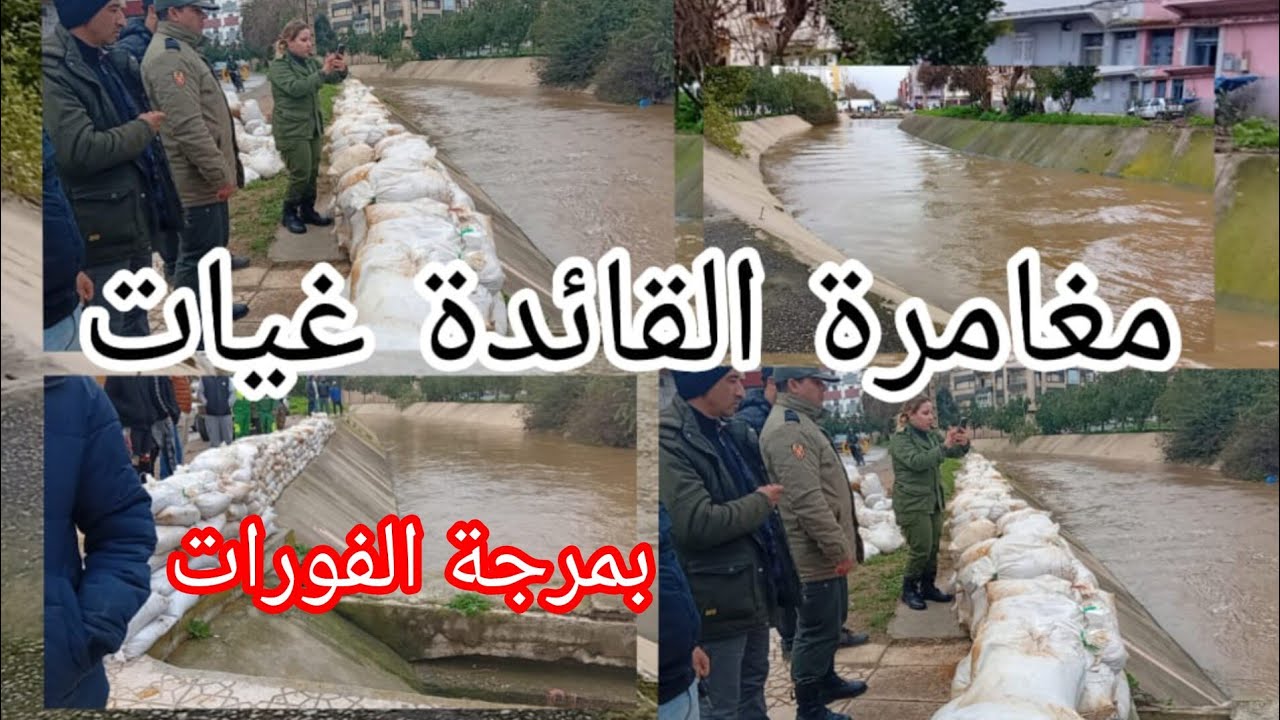 مغامرة القائدة خديجة غيات عن الملحقة الإدارية 11 ومدى حرصها ومتابعتها على وضعية مرجة الفوارات.