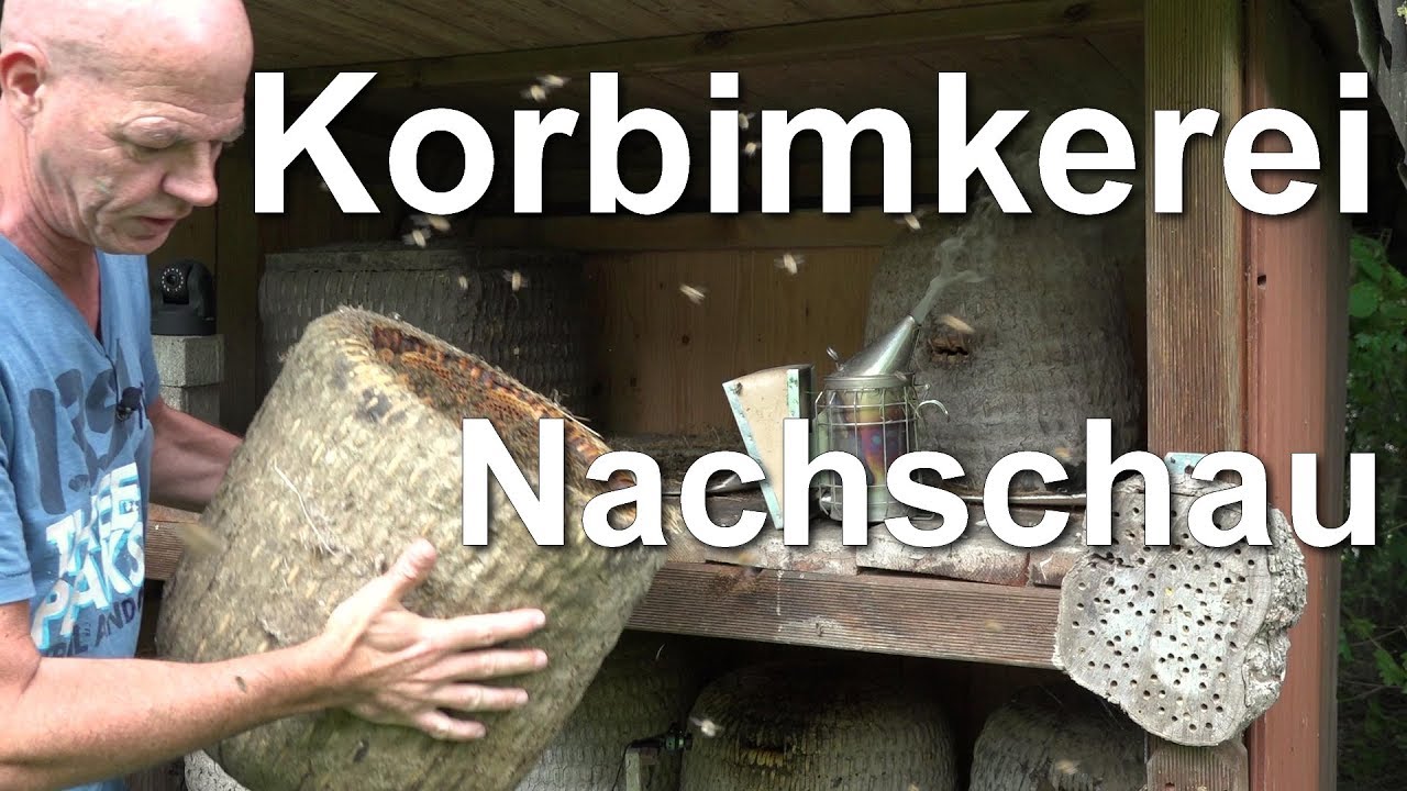 Heideimkerei - Korbimkerei - Bienenkorb mit Heidebiene