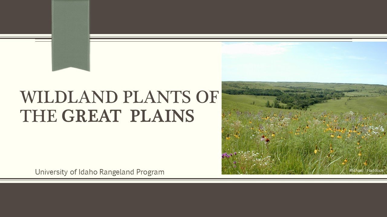 Great Plains Rangeland Overview