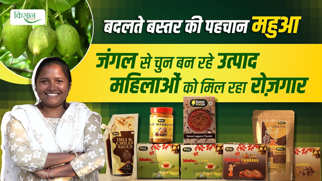 Mahua tree farming |Bastar के जंगलों से कैसे मिल रहा है महिलाओं को रोज़गार? MAHUA COOKIES |Mahua Oil