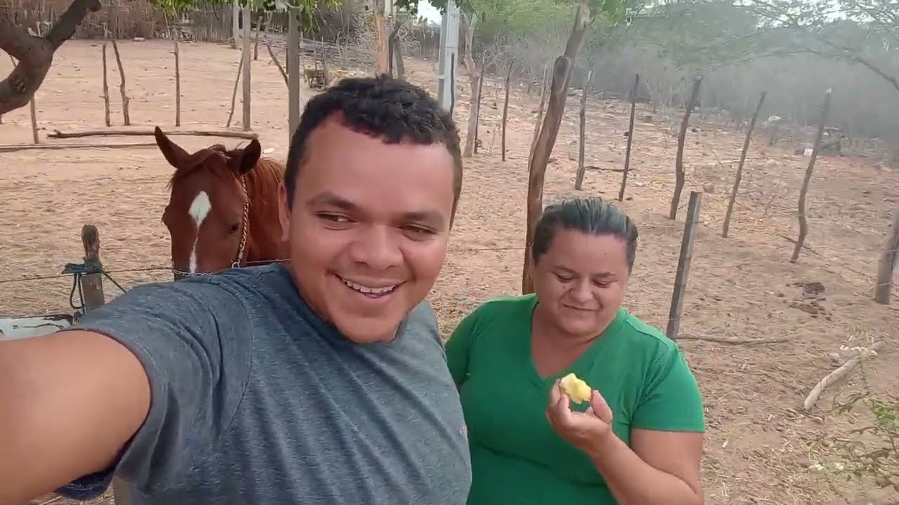 Um pouco daqui esse é um lugar tranquilo e as fruteiras