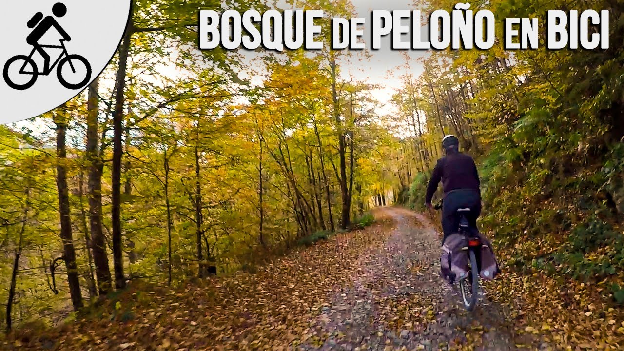 La ruta perfecta 👌🏻para el Otoño, el bosque de Peloño 🍂 | De Bici 🚵🏻‍♂️🚵🏻| LowCosTravellers