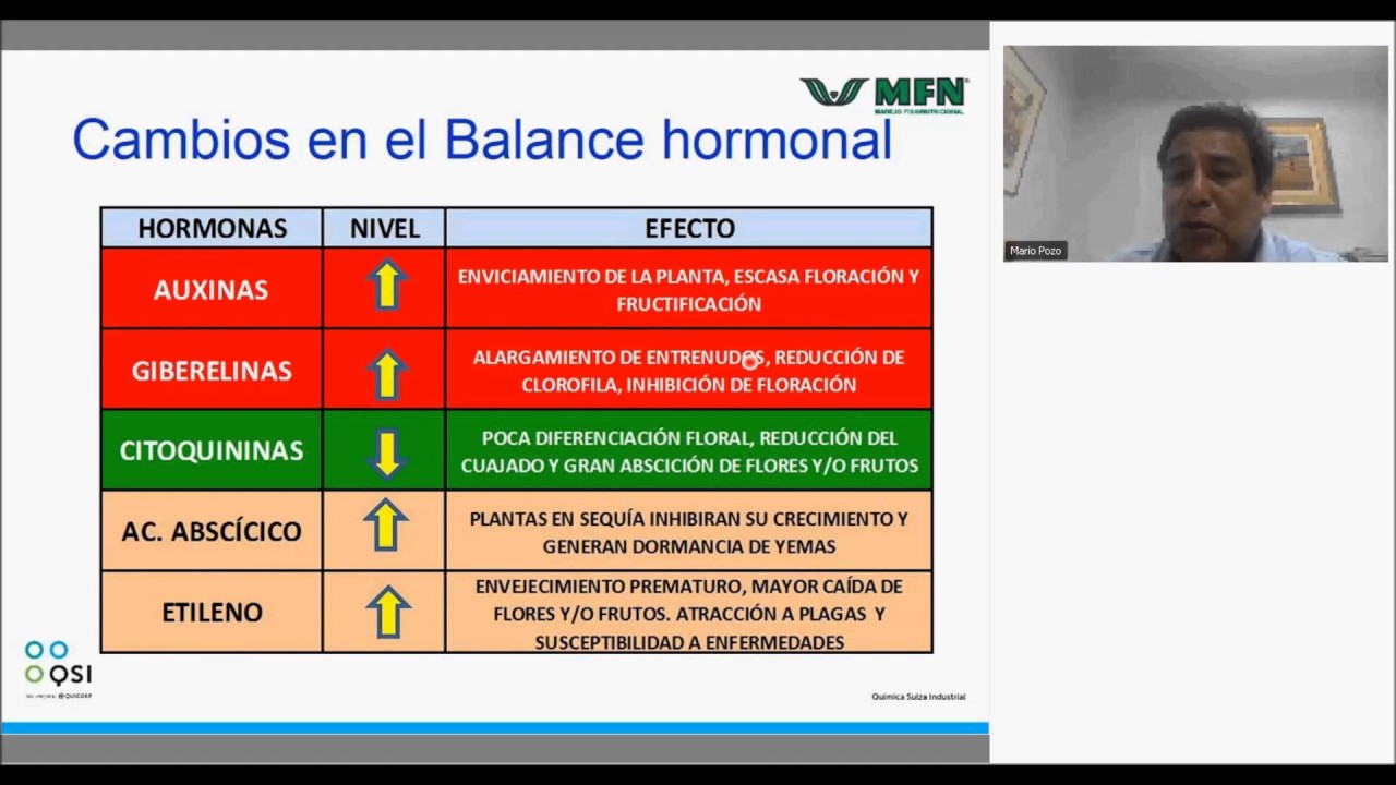 Video 1  Hormonas Vegetales