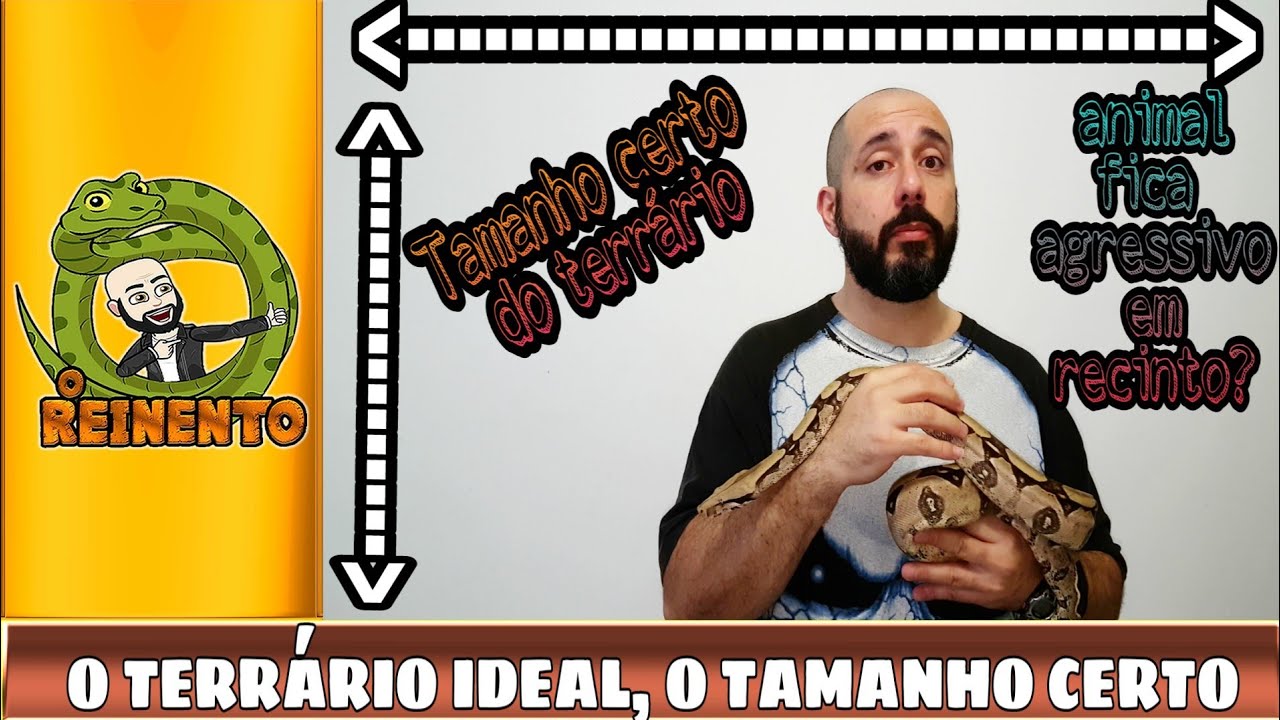 O TAMANHO DO TERRÁRIO É IMPORTANTE