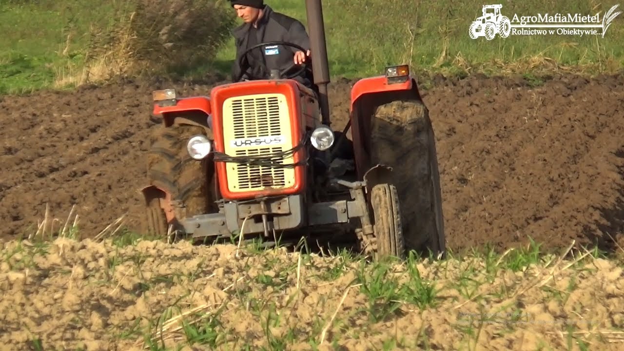 Orka 2017☆ URSUS C360 ㋡ AgroMafiaMietel