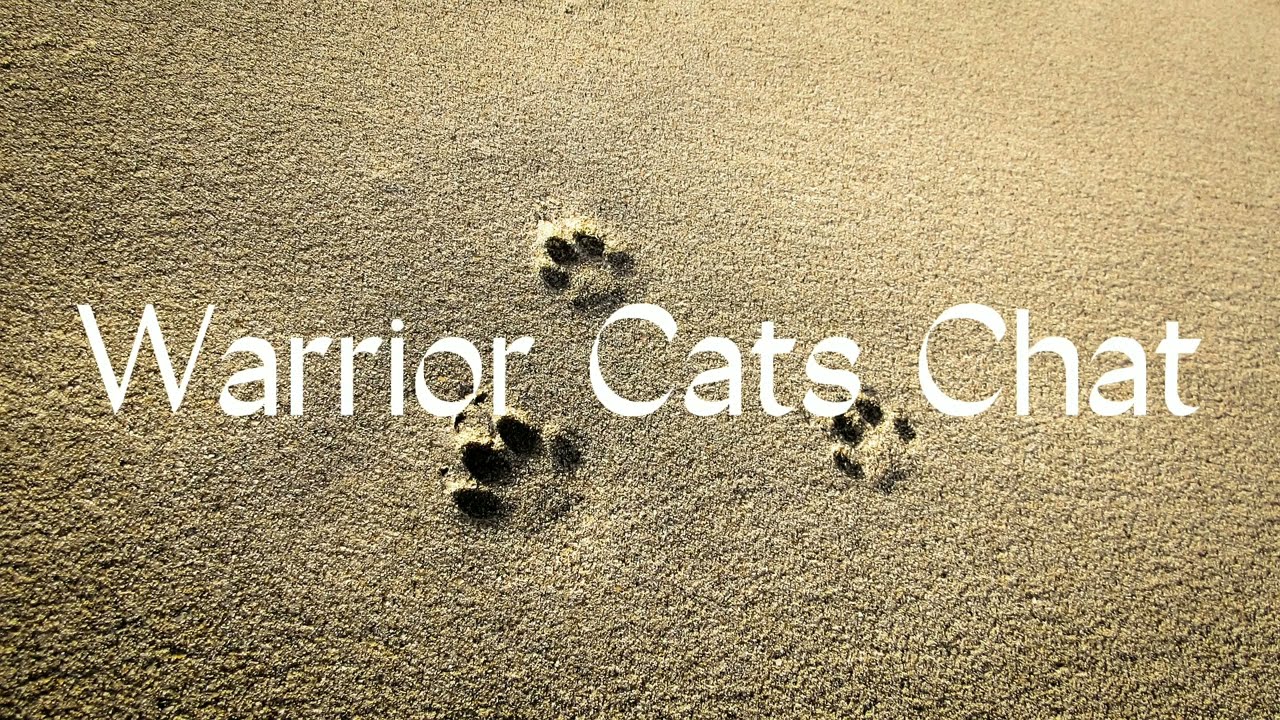 Warior Cats Chat - Habichtfrost?! ~ Warrior Cats Chats