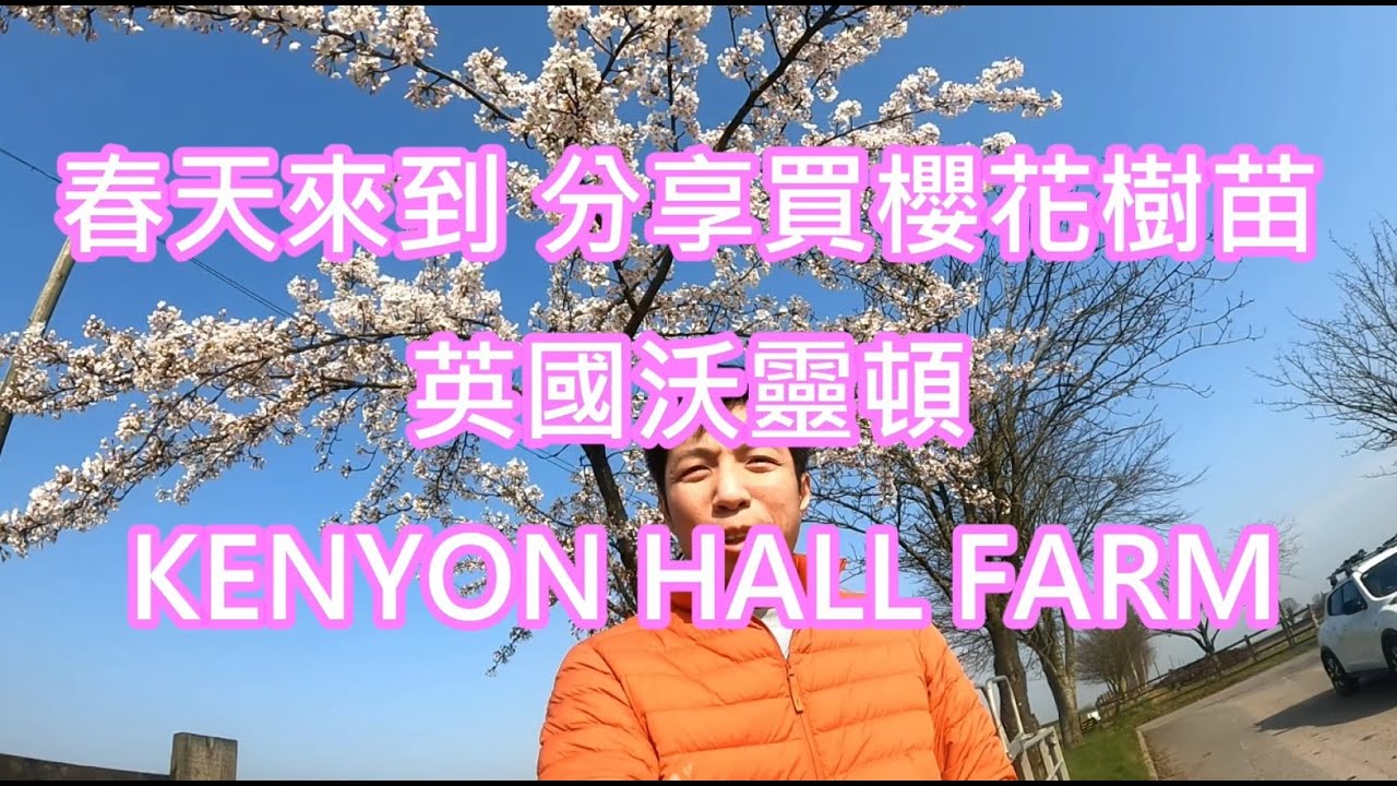 返鄉下UK - 春天來到 | 分享買櫻花樹苗 | 英國沃靈頓 | KENYON HALL FARM