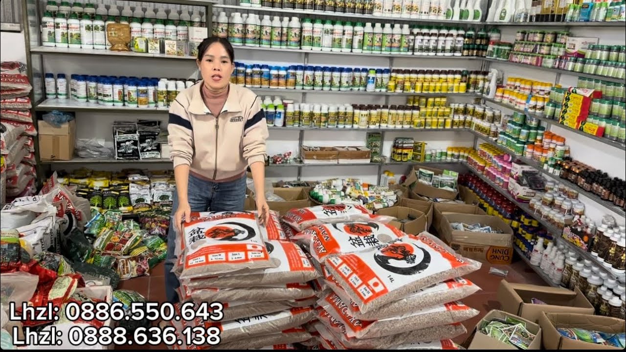 ♨️🌱. PHÂN THUỐC CHĂM CÂY ĐẸP CHO CÁC BÁC CHƠI CÂY TRC VÀ SAU TẾT 🧧 