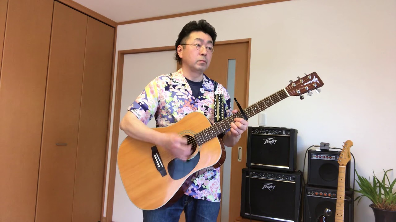 295 ARIA ADW-200Nで「Beatles」