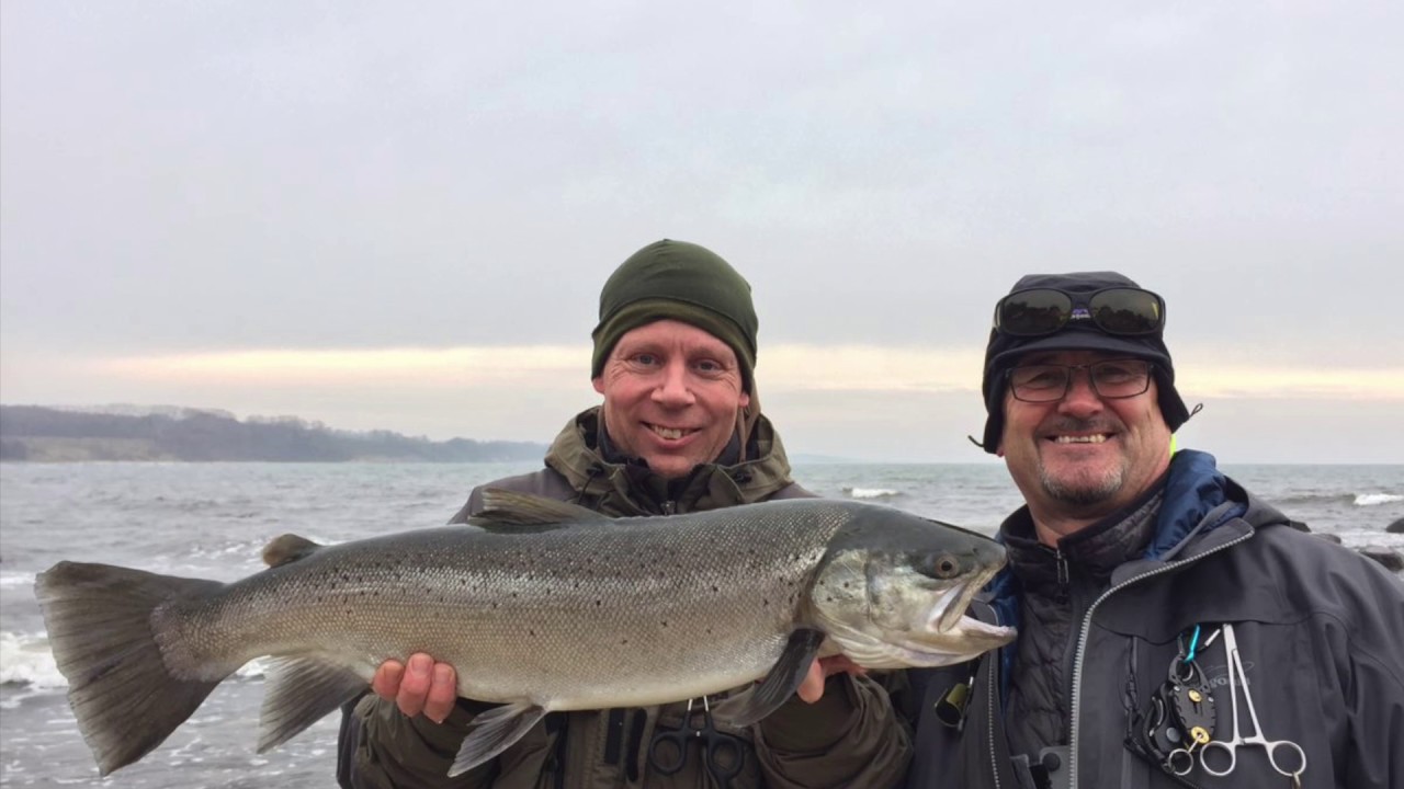Bornholm 2016   Die Suche geht weiter