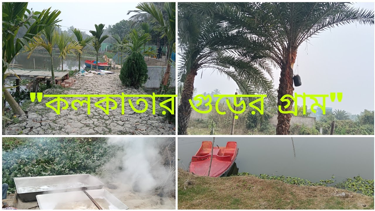 কলকাতার কাছে বেলেখালি |পাটালি গুড় ও নলেন গুড় তৈরির আসল জায়গা |Best Picnic spot Near Kolkata 
