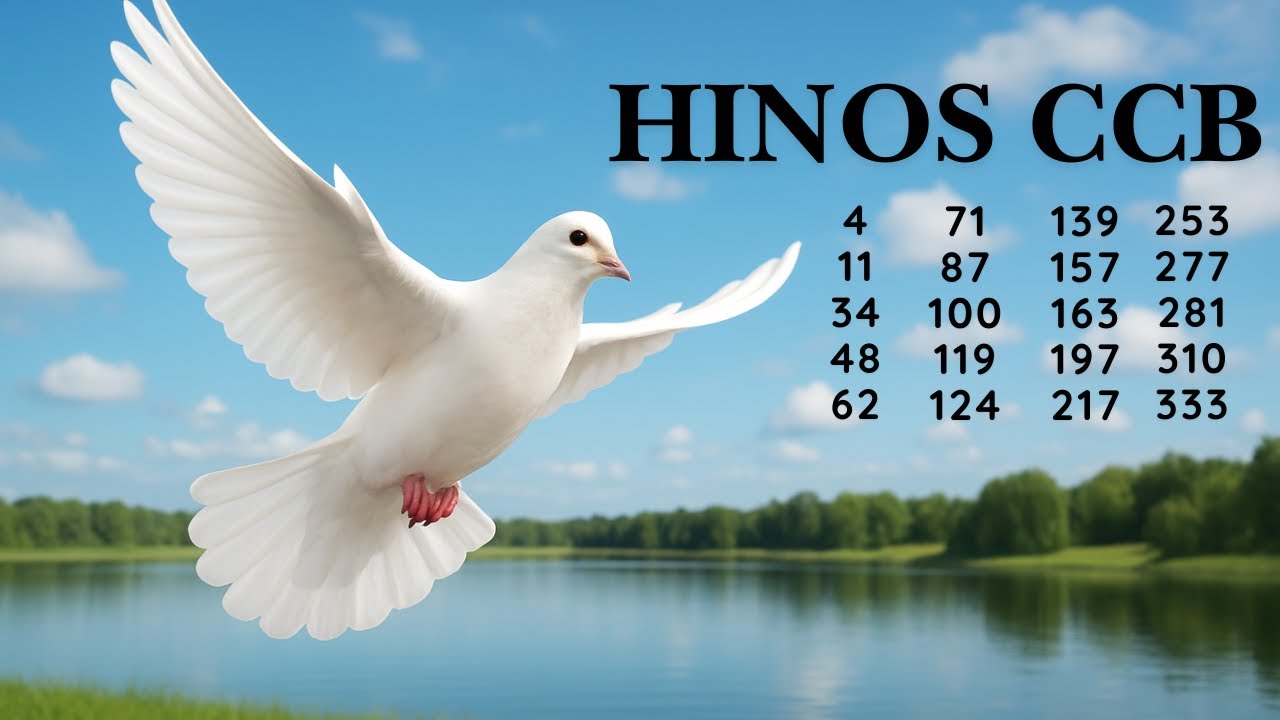 HINOS CCB - 36 | 4 11 34 48 62 71 87 100 119 124 139 157 163 197 217 253 277 281 310 333