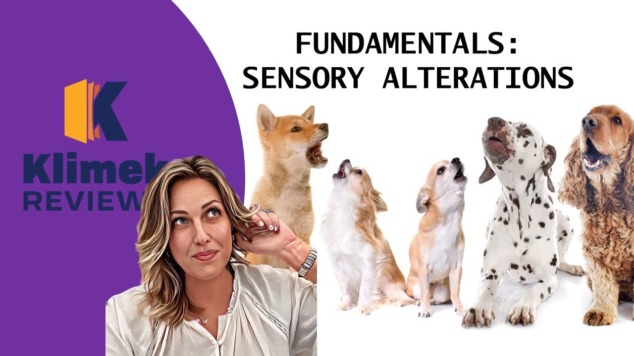 FUNDAMENTALS SENSORY ALTERATIONS