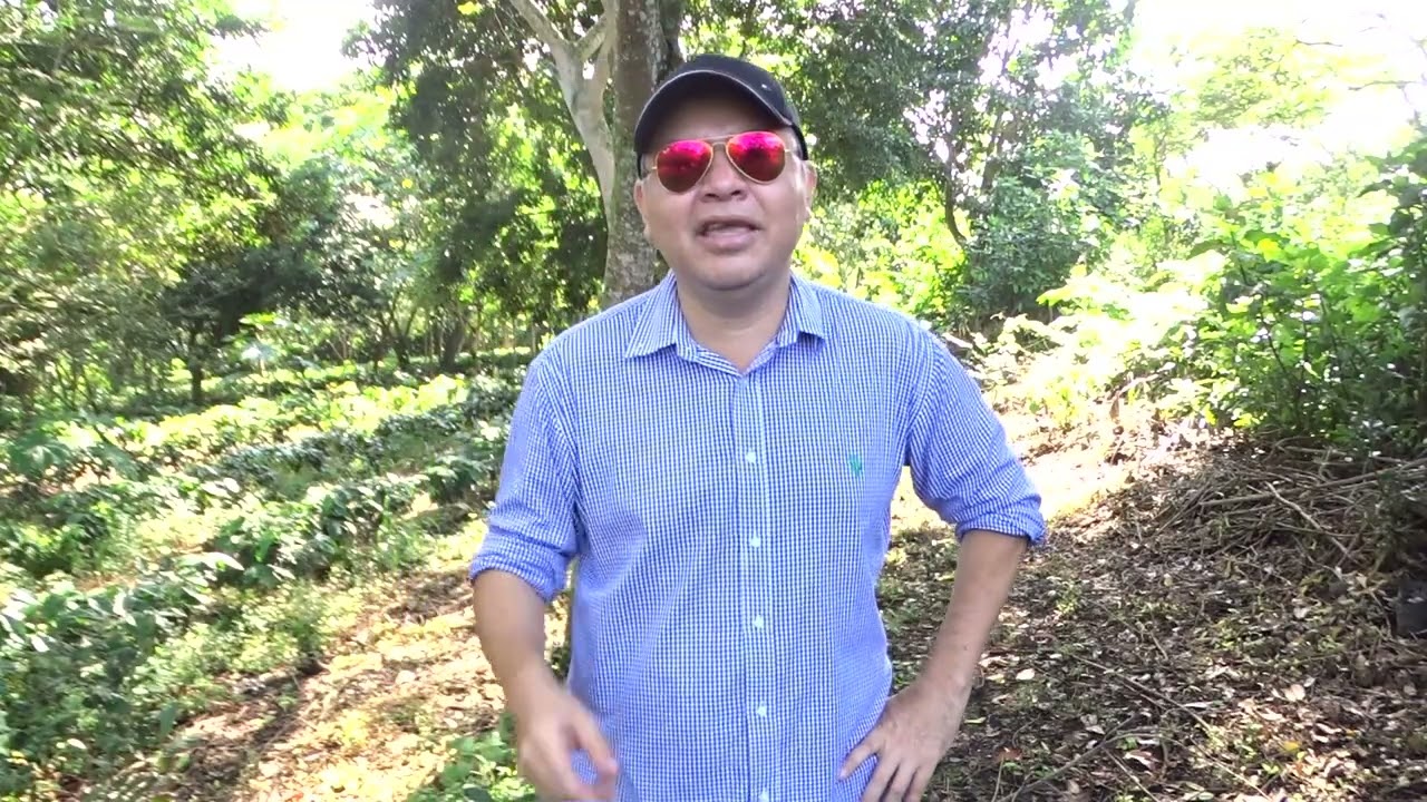 Aplicación de Potasio Quelatado para una Buena Maduración.