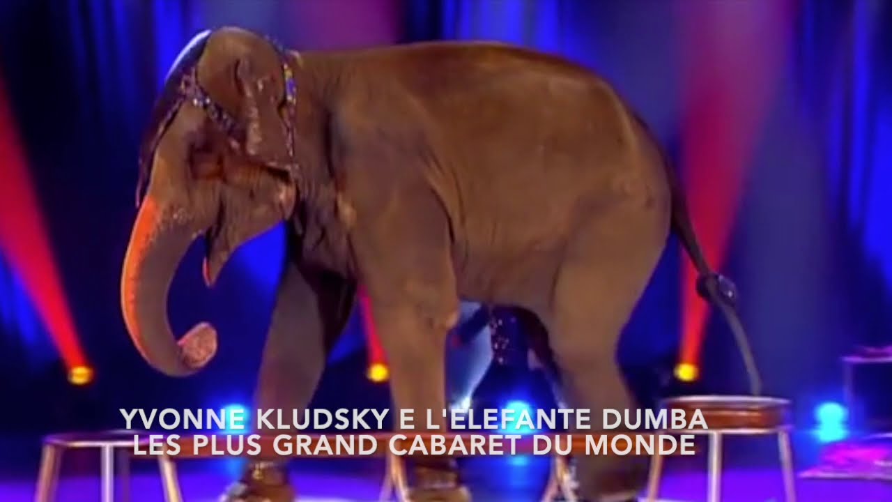 Yvonne Kludsky e l'elefante Dumba