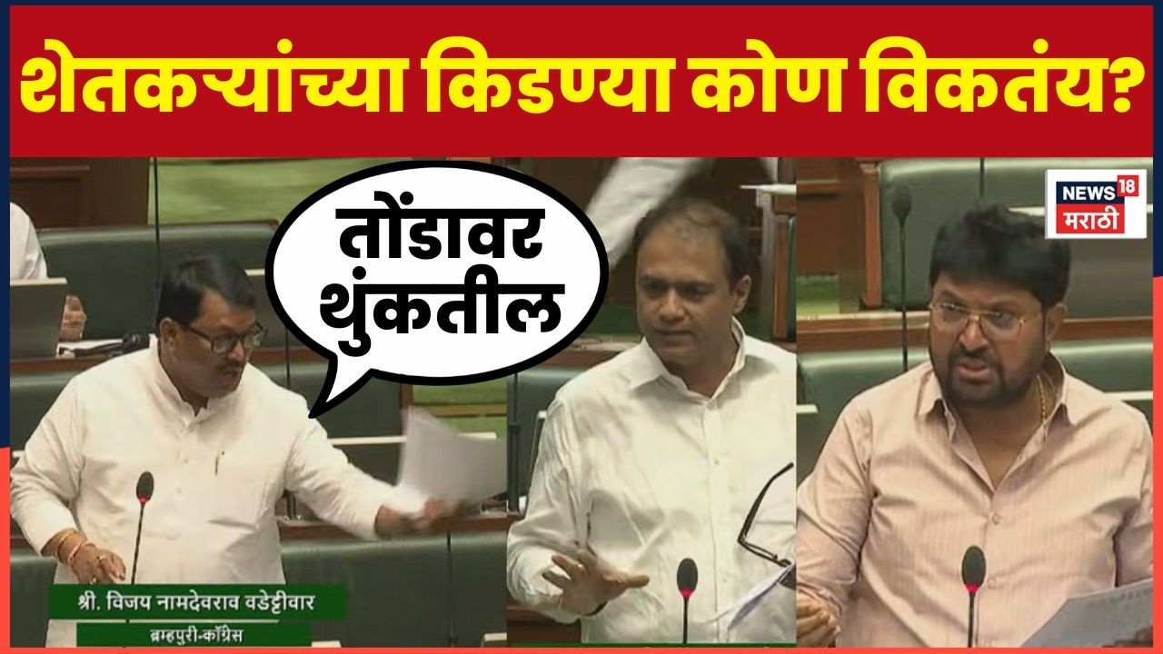 Kidney Racket News | किडनी रॅकेट प्रकरणावरून वडेट्टीवार सरकारवर संतापले | Vidhansabha Session  N18V