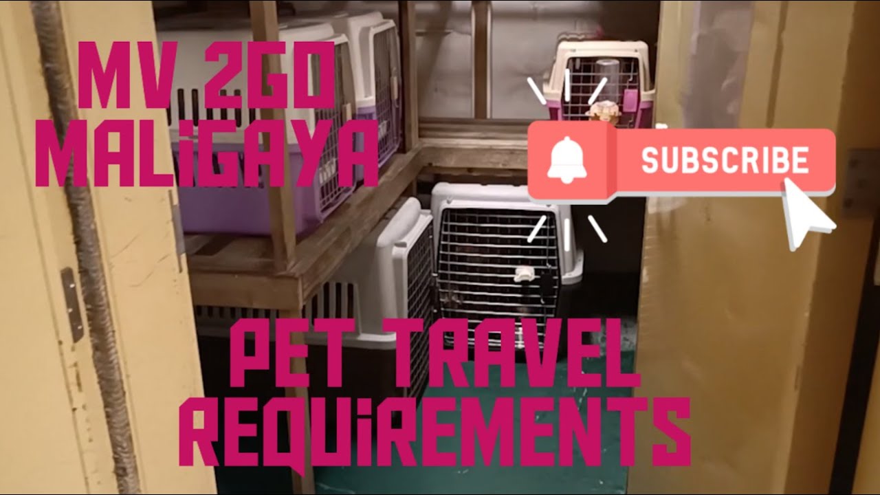 MV 2GO MALIGAYA PET REQUIREMENTS AND ACCOMODATION | 2GO TRAVEL