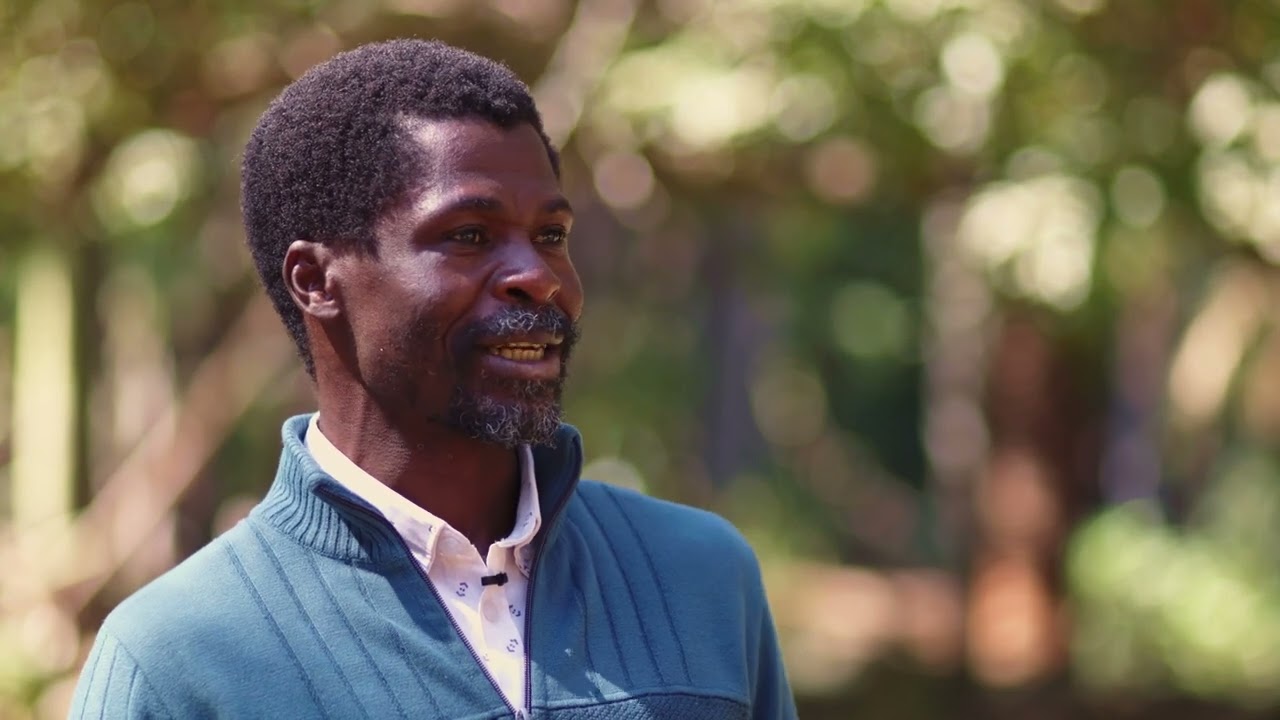 Celebrating the wonder of Zimbabwean Millets: Svoboda the forgotten millet