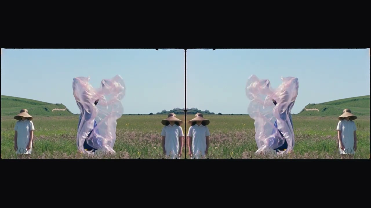 Aoife Nessa Frances - This Still Life (Official Visualizer)