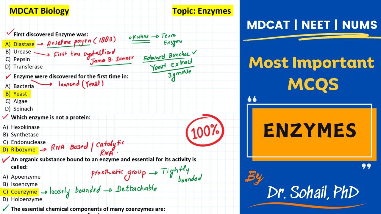 Most Important MCQS on enzymes