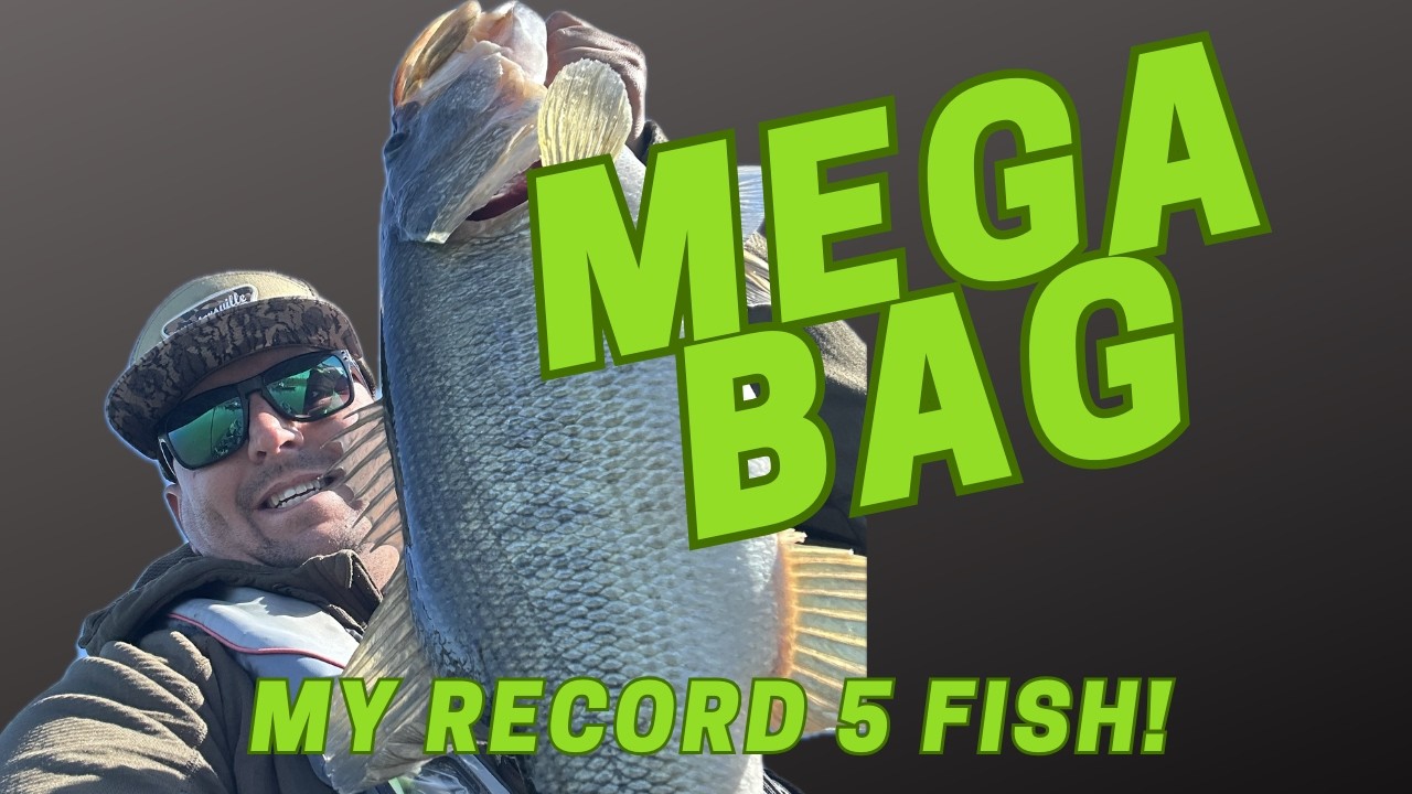 MEGA Limit!!! Catching Giant Bass Setting my 5 Fish Record.