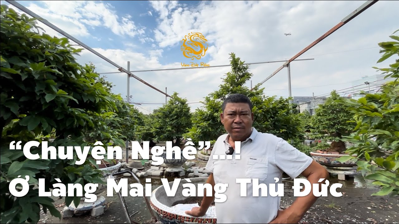 Nghe anh Phương Bình kể về “chuyện nghề” ở Làng Mai Vàng Thủ Đức(P.1)|Vùng Đất Rồng 