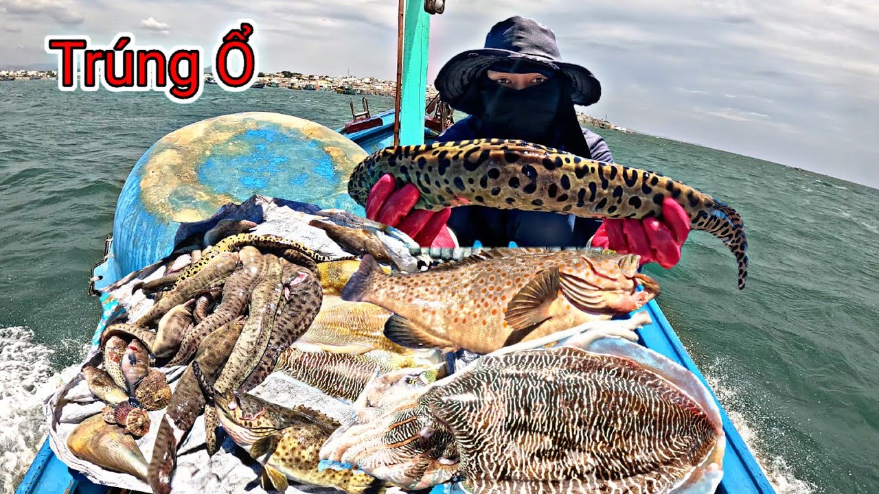 Lúc Giờ Mới Gặp Lại Nó Cá Chình Bông To Khủng Lặn Ở Điểm Chà Độ Sâu 18 Mét | p 881