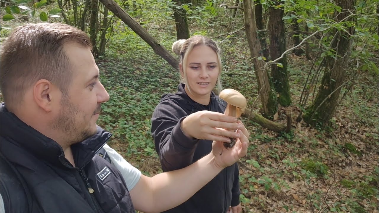 Am fost la cules de 🍄Hribi🍄‍🟫 în sud-vestul Franței