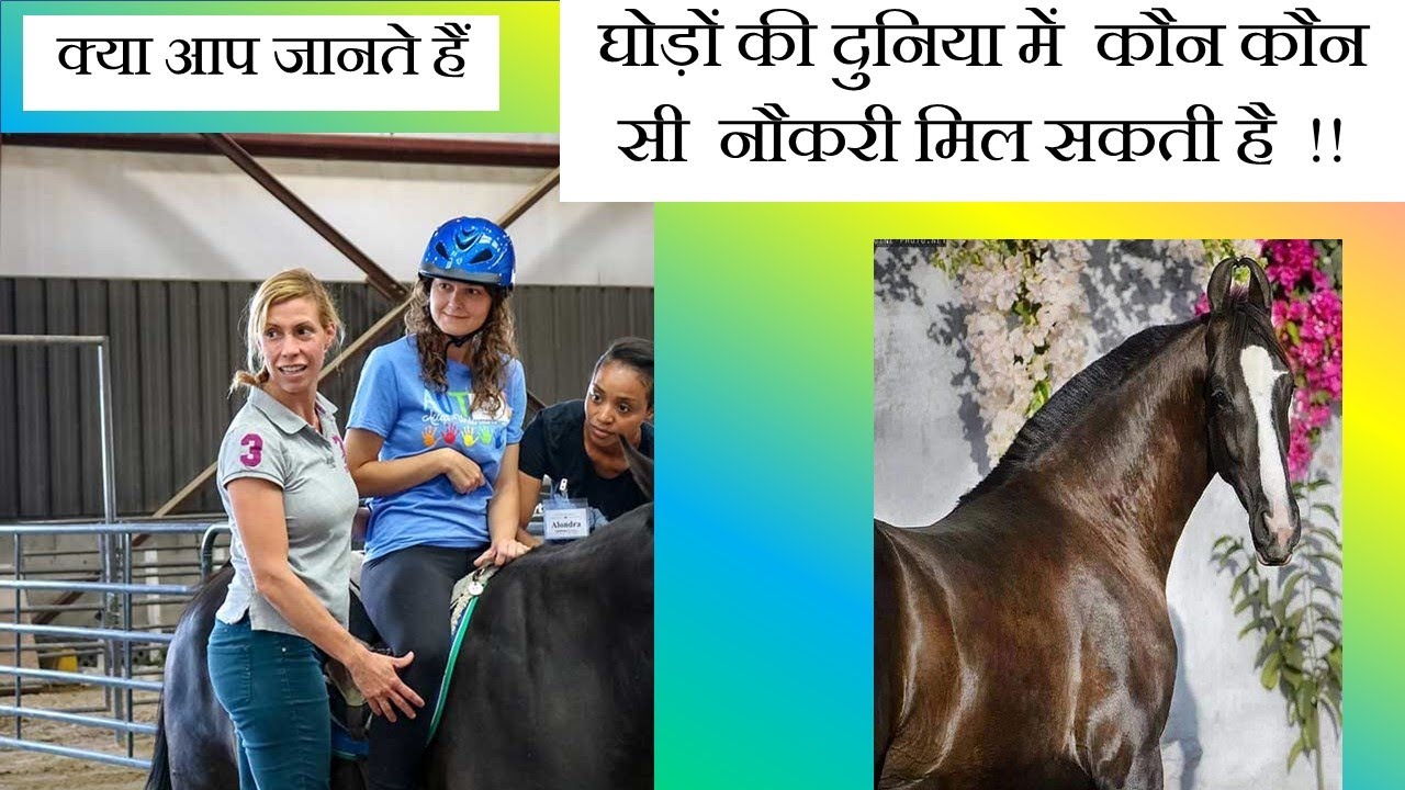 🐴 घोड़ों की दुनिया में  कौन कौन सी नौकरी काम मिल सकता है  !! Jobs Vacancy Employment In Horse World.