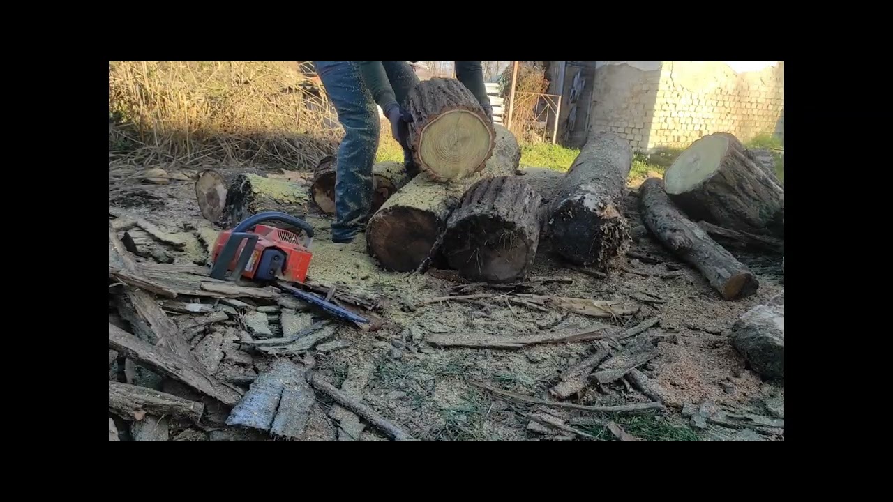 Husqvarna 55 földes fában...