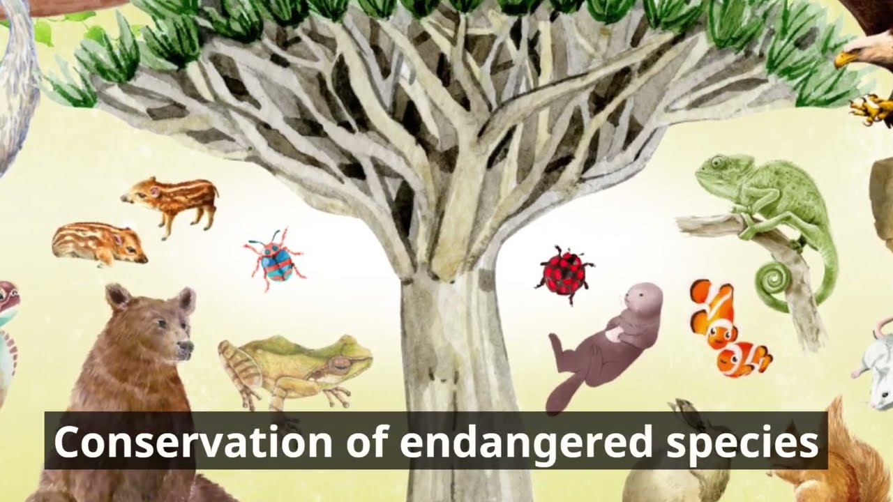 New Animal Import Restriction: Protecting Wildlife and Ecosystems