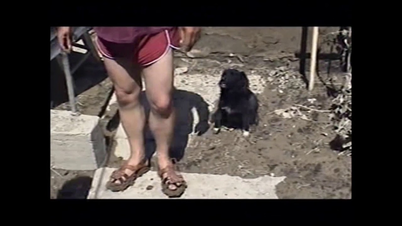 Povodně Troubky 1997 - 20 let poté 3. část ze 3