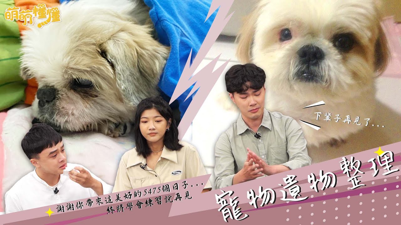 臨終前奮力道別！面對寵物終將離世，你準備好了嗎？｜萌萌懂懂 EP6｜游星淵 陳思綾