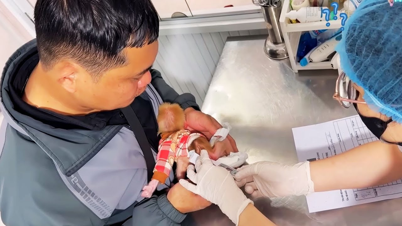 While BuNa Was at the Doctor 🏥, Kyo Stayed Home — Her Actions Surprised Everyone