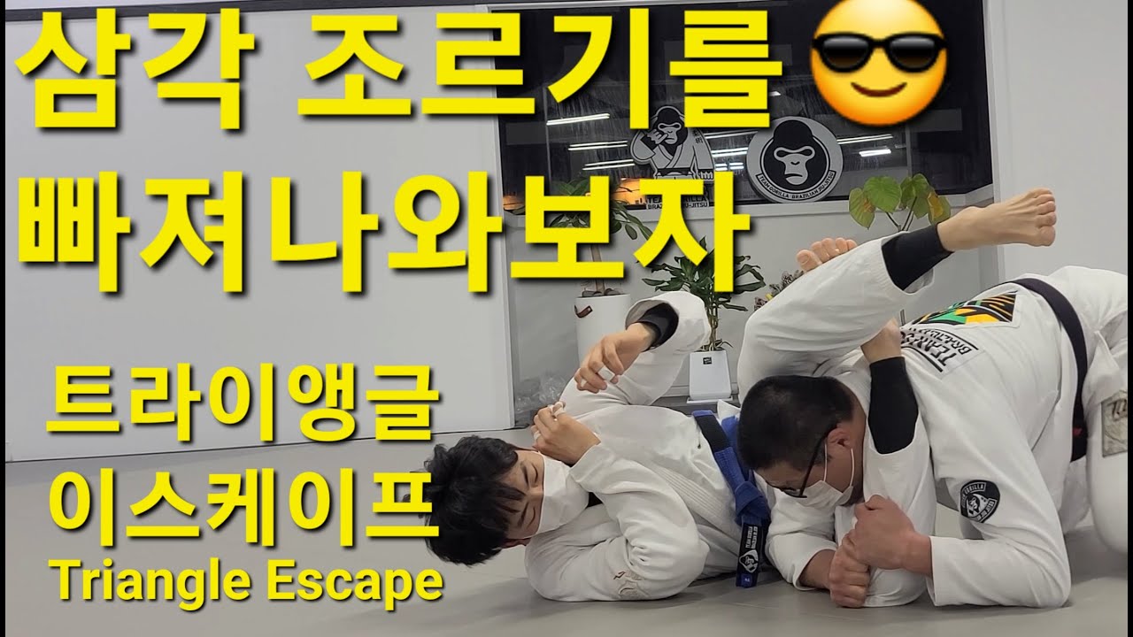 트라이앵글 이스케이프 Triangle Escape (기술도움 : 김민우) #트라이앵글이스케이프 #TriangleEscape