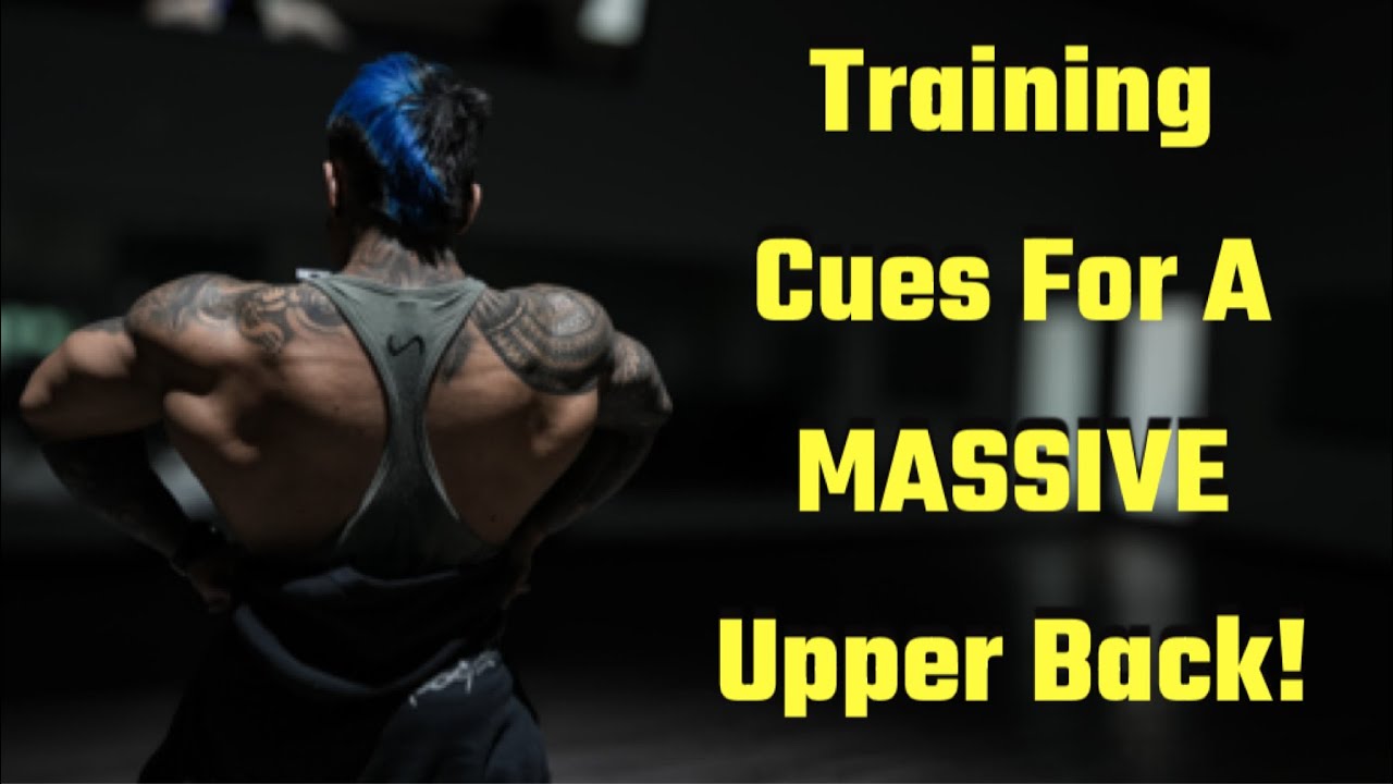 UPPER BACK TRAINING | Building Your Upper Back With These Movements!