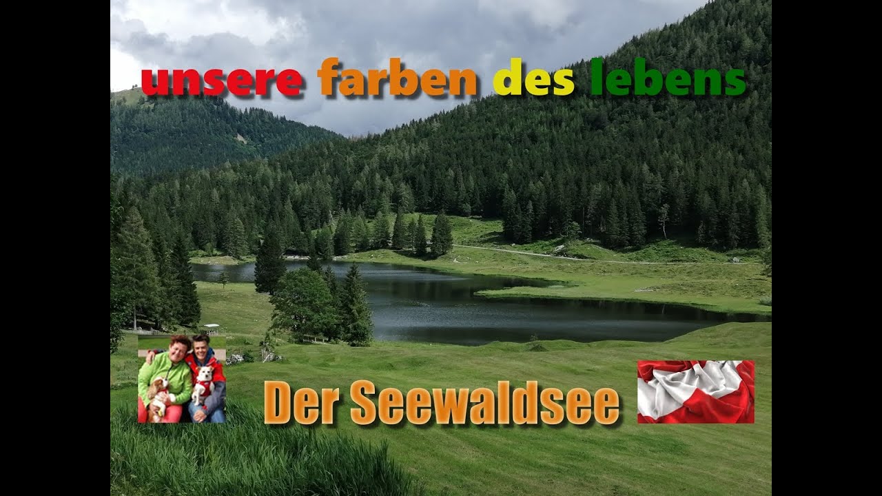 Der Seewaldsee  - mit Hunden im Salzburger Land