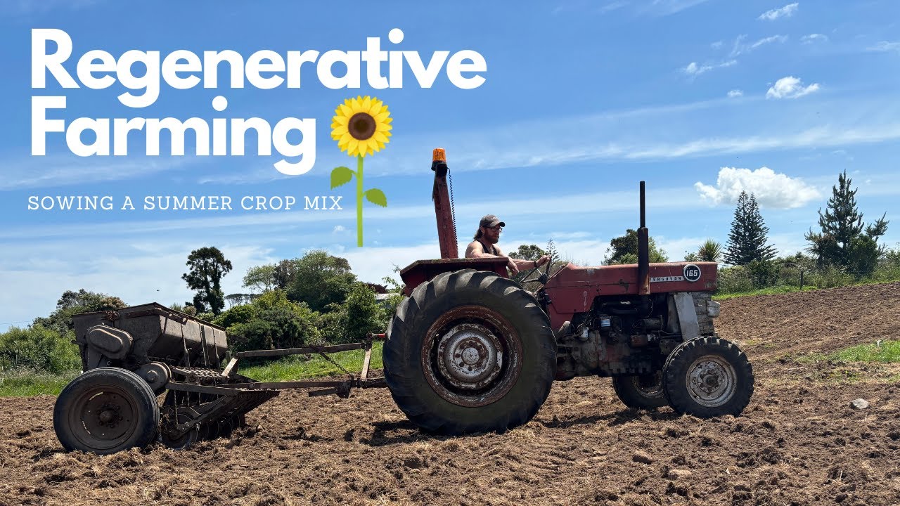 New Zealand Dairy Farm | Planting a Mixed Summer Crop for Stock Grazing