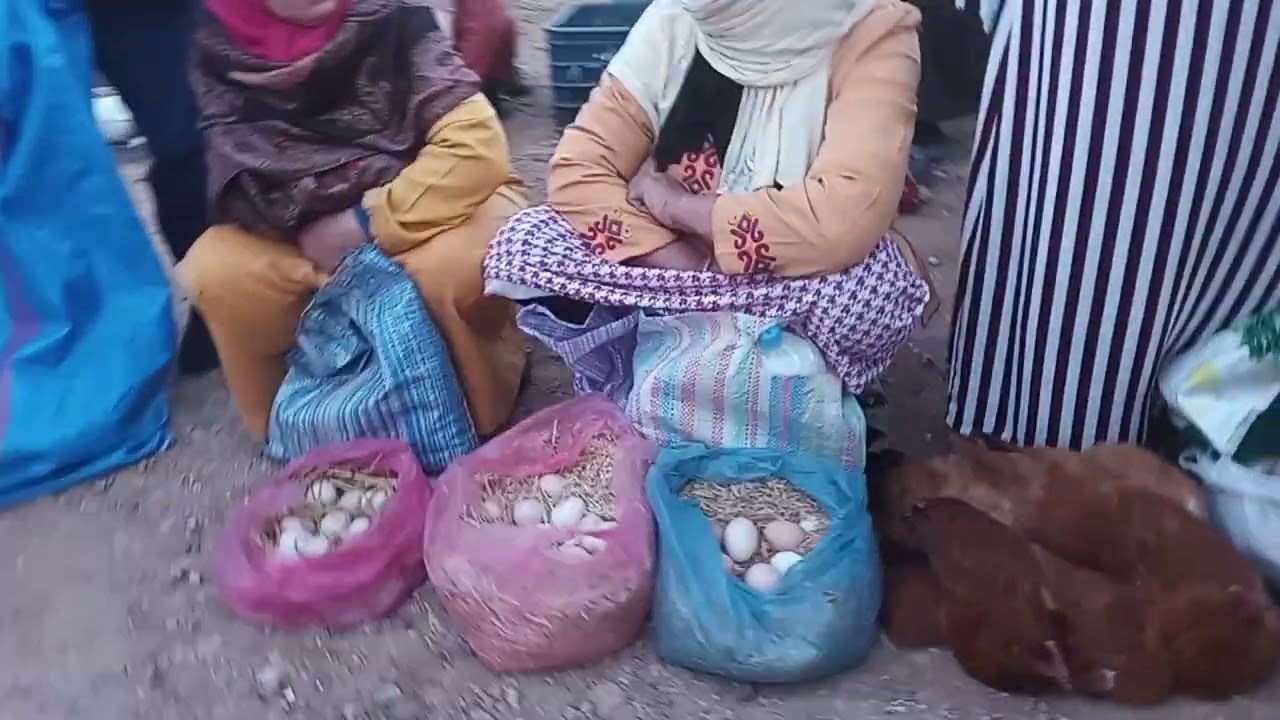أجواء بيع الدجاج والبيض البلدي فسوق الأسبوعي لأبي الجعد