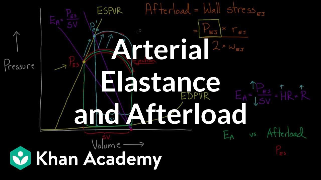 Arterial elastance (Ea) and afterload | Circulatory system physiology | NCLEX-RN | Khan Academy