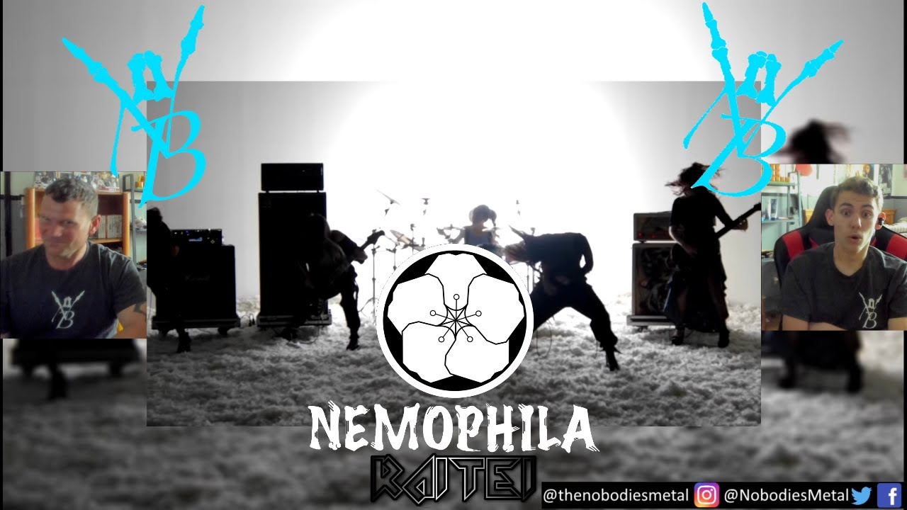 A LEAGUE OF THEIR OWN! | RAITEI (NEMOPHILA)