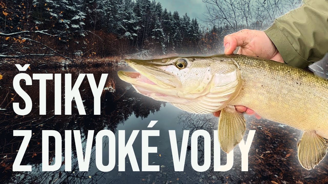 LOV ŠTIK NA DIVOKÉ VODĚ