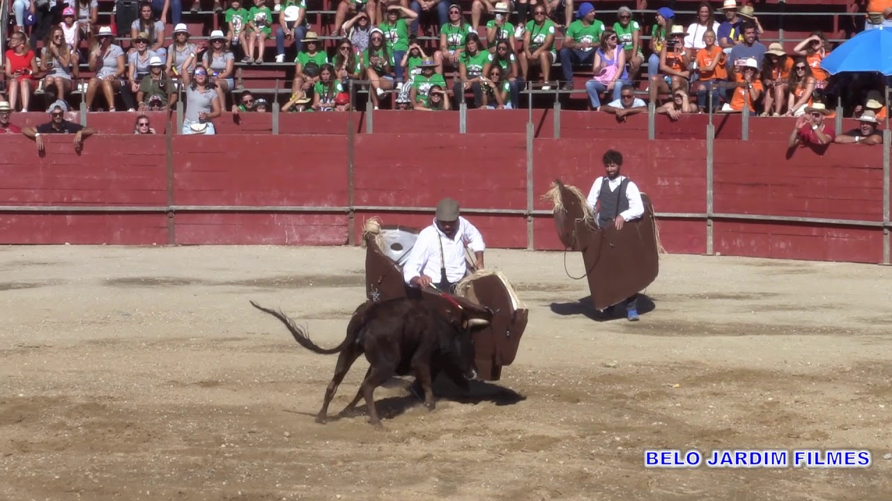 ARTE DE TOUREAR COM BUBA VENTURA E PIRI HERMOSO  CORRIDA DAS TERTÚLIAS FESTA DE SAMORA 2019