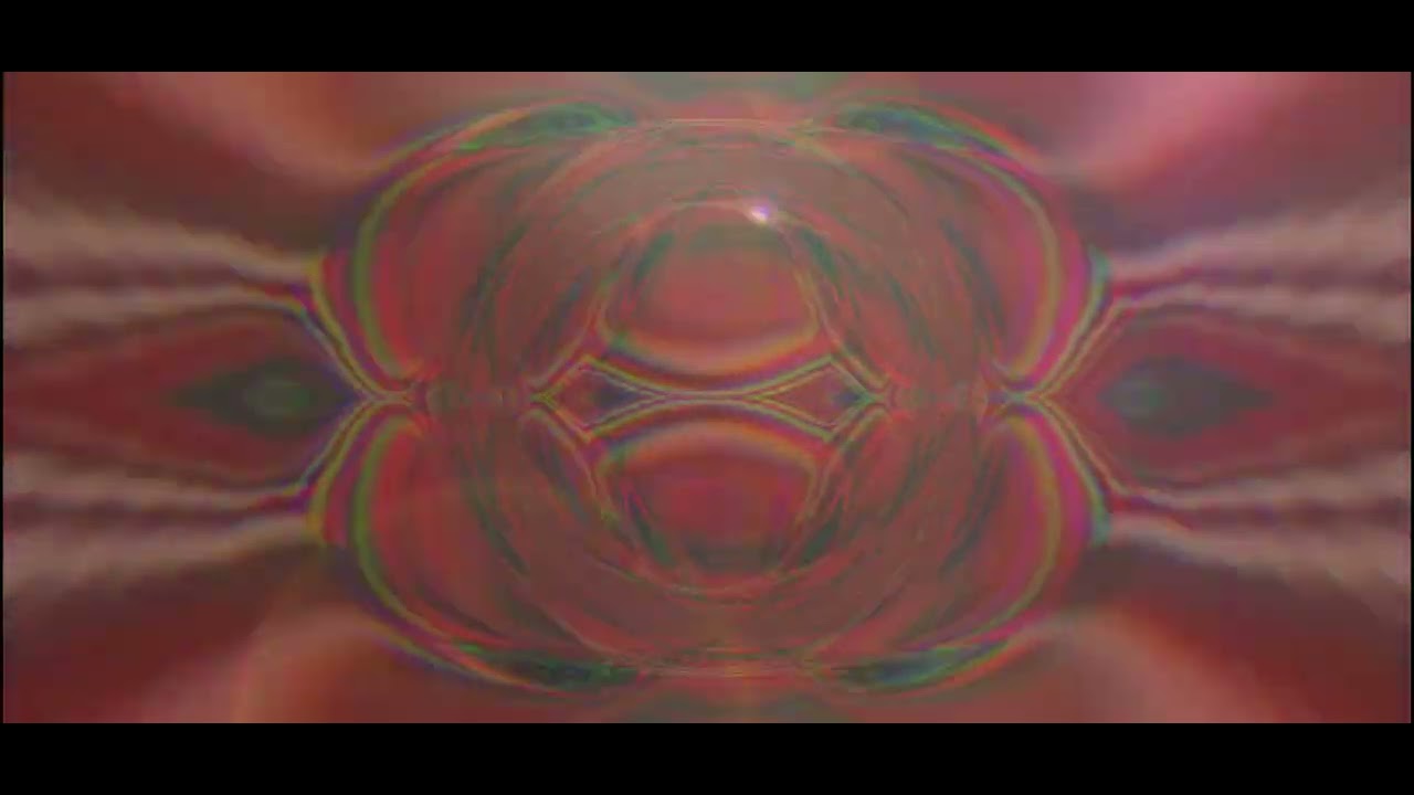 Sun always grows this way 
