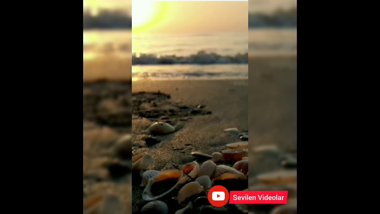 🍁sevilen Videolar🍁@sevilen Videolar bir zəhmət abunə olun xaiş edirem🎵🎶