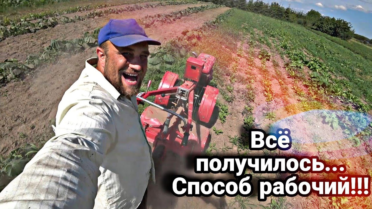 Химии не нужно и сорняка больше не будет // Спас поле от бурьяна и получил отличный урожай.