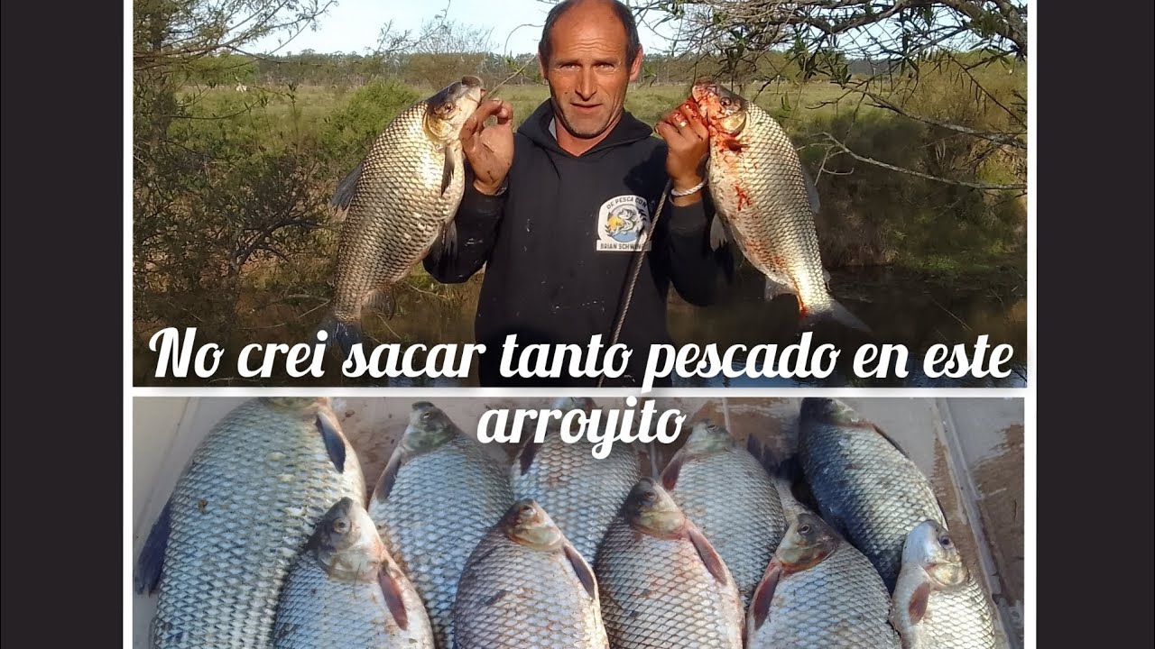NO CREI SACAR TANTO PESCADO EN ESTE ARROYITO😲