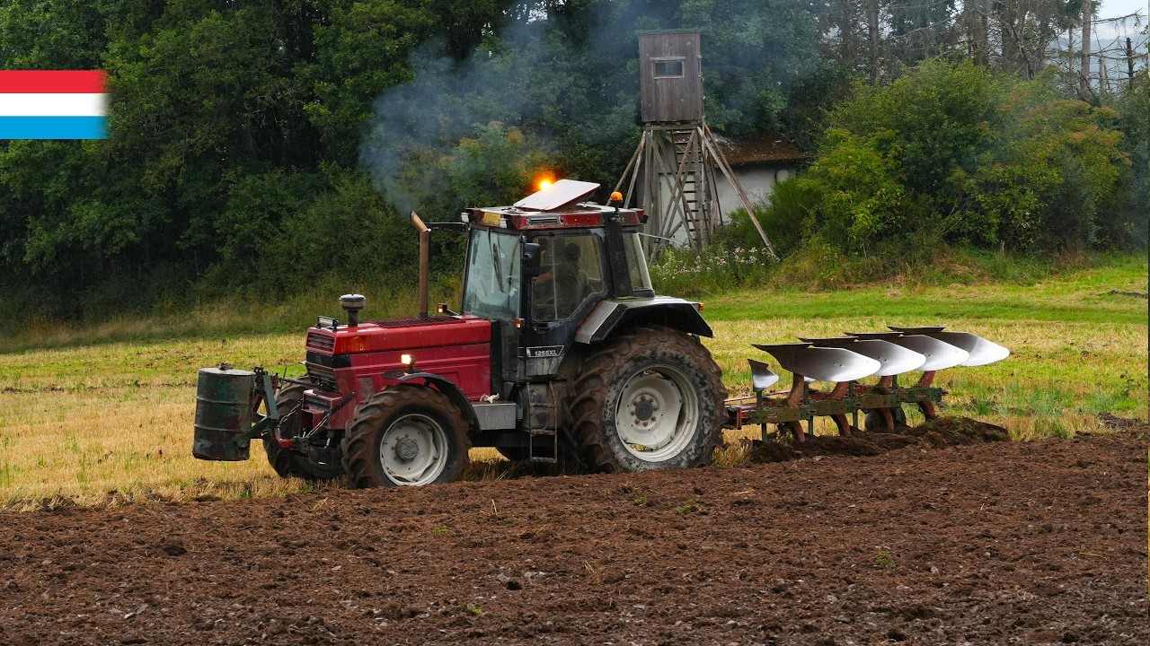 Stoppeln pflügen | Sound pur | CaseIH 1255XL // Kverneland F 160-8 | Luxemburg 2025