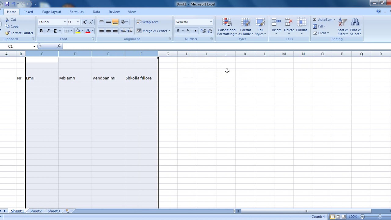 VENDOSJA E TE DHENAVE NE EXCEL