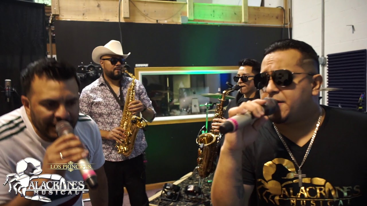 los calzones En Vivo Desde La Oficina Alacranera
